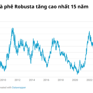 Lo ngại giá cà phê tăng cao vì El Nino